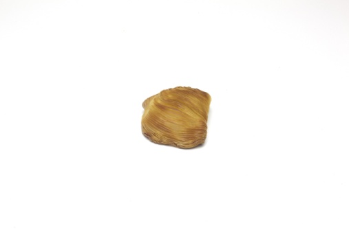 Sfogliatella clasică